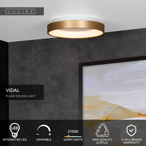 Lucide VIDAL - Flush ceiling light - Ø 28 cm - LED Dim. - 1x20W 2700K - Matt Gold / Brass - USP